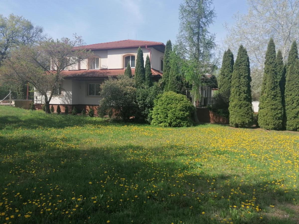 Staff Guest House Nyiregyhaza Ngoại thất bức ảnh